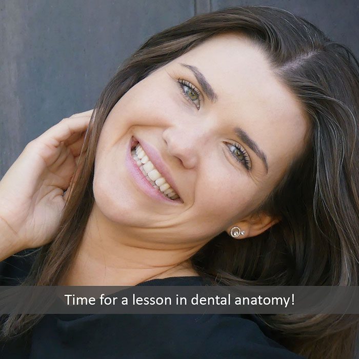 dental anatomy 2022 700 Abari Orthodontics and Oral Surgery -